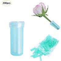 houseHome arreglo de tubos, 100&nbsp;piezas de agua de pl&aacute;stico dep&oacute;sito de agua flor tapones de tubos y flores frescas de soportes para jarrones