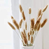 Ramo de flores secas para decoraci&oacute;n de bodas, para el hogar y fiesta, dise&ntilde;o de cola de perro natural