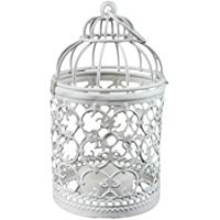 Outflower 1Piezas Hierro Hollow candelabro Flor del Metal Jarr&oacute;n de Hierro Decoraci&oacute;n casera rom&aacute;ntica, decoraci&oacute;n de la Boda, Regalos de d&iacute;a de Fiesta,Blanco,14 * 8CM