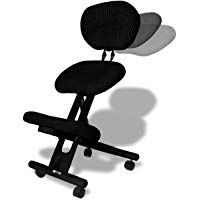 Cinius Silla ergon&oacute;mica Profesional con Respaldo