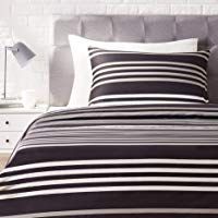 AmazonBasics Sateen Duvet Cover Set