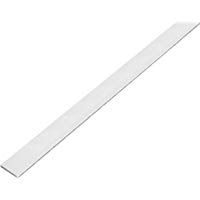 GAH-ALBERTS&nbsp;&ndash;&nbsp;Barra plana (autoadhesivo, aluminio, 1000&nbsp;x 15&nbsp;x 2&nbsp;mm, 1&nbsp;pieza, kugelgestrahlt Plata, 489168.0