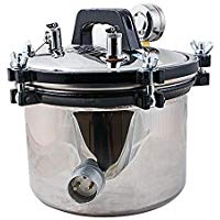 Dentista 8L vapor port�til AUTOCLAVE esterilizador alta presi�n Dental Equipo venta