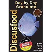 Comida peces disco - Day by Day 80g Discusfood
