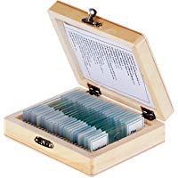 AmScope PS25W 25 de vidrio preparadas para microscopio con la caja de madera