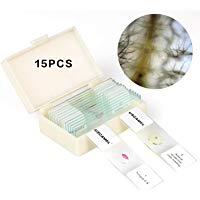 USCAMEL Juego de portaobjetos de microscopio preparado para la educaci&oacute;n en ciencias biol&oacute;gicas b&aacute;sicas, 15 diapositivas, incluye estuche ajustado