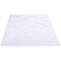 100 Bolsas de pl&aacute;stico transparente