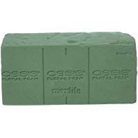 Oasis Floral Products Ladrillos de espuma floral Verde