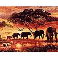 YXQSED [Rahmenlos] DIY Pintura por N&uacute;meros Pint por N&uacute;mero de Kits for Adultos Mayores Avanzada Ni&ntilde;os Joven-Elefante Africano 16x20 Inch
