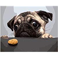 ESOOR Pintura al &oacute;leo para adultos y ni&ntilde;os por n&uacute;mero Kit Digital Pintura al &oacute;leo Pintado Perro Peque&ntilde;o 16x20 pulgadas