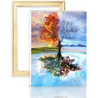 decalmile Pintura por N&uacute;mero de Kits DIY Pintura al &oacute;leo para Adultos Ni&ntilde;os Rana con Gafas 16"X 20" (40 x 50 cm, con Marco de Madera)