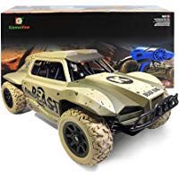 GizmoVine RC Coche 4WD Talla Grande Alta Velocidad Rock Crawler Veh&iacute;culo 25KM/H 2.4Ghz Control remoto de Radio Fuera del Camino RTR Carreras Monster Truck Curso Corto (Amarilla)