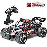 GoStock RC Auto, RC Coche Teledirigido 1/16 Off-Road 2WD RC Car Coche Escalada Coche de RC Rock Crawler Camiones Controlado por Radio Rock Monstruo Crawler