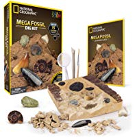 National Geographic Kit de yacimiento de f&oacute;siles Reales, 15 f&oacute;siles