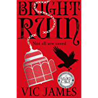Bright Ruin (The Dark Gifts Trilogy) (English Edition)