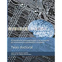 El sistema de neuronas espejo y su activaci&oacute;n en movimientos coordinados complejos: Tesis doctoral (Trabajos)
