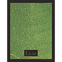 Leaf: Journal