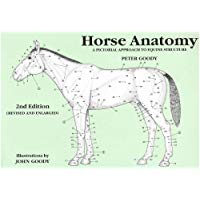 Horse Anatomy 2e: A Pictorial Approach to Equine Structure