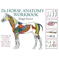 Horse Anatomy Workbook: A Learning Aid for Students Based on Peter Goody's Classic Work, Horse Anatomy (Allen Student)