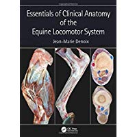 Essentials of Clinical Anatomy of the Equine Locomotor System