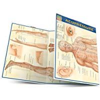Acupressure (Quick Study Academic Outline)