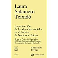 La protecci&oacute;n de los derechos sociales en el &aacute;mbito de Naciones Unidas - El nuevo protocolo Facultativo del pacto internacional de derechos econ&oacute;micos, sociales y culturales (Monograf&iacute;a)