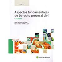 Aspectos fundamentales de Derecho procesal civil (4&ordf; ed. - 2018) (TEMAS)
