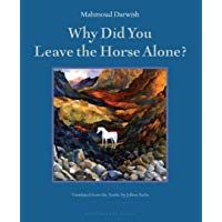 Why Did You Leave The Horse Alone