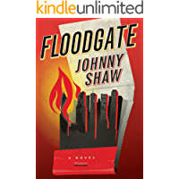 Floodgate (English Edition)