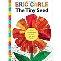 The Tiny Seed (World of Eric Carle)
