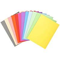 Exacompta 410000E - Lote de 100 Subcarpetas Forever&reg; 10, Colores Surtidos