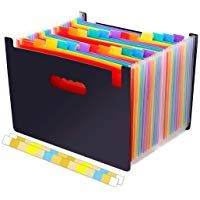 Orgawise Carpeta Clasificadora Extensible Archivador Acordeon con un Gran 24 Bolsillos con 24 Pesta&ntilde;as Personalizables Jerarquizadas, Solapa y Cierre de Banda El&aacute;stica