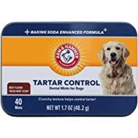 Arm & Hammer - Pastillas de menta para perros