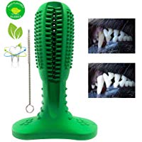 Tlich Cepillo de Dientes Perro - Palo Juguete para Masticar - Limpiador Dientes Perros - para Perros peque&ntilde;os - Regalo para el Amante de Las Mascotas (Verde)