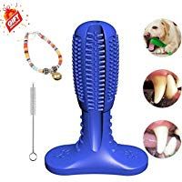 mejores Cepillos de dientes mejores cepillos-de-dientes