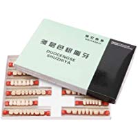 NAttnJf Dientes de resina acr&iacute;lica 48 Unids A2 Color Boca Completa Dentadura Resina Acr&iacute;lica Dientes Falsos Material Dental