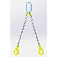 Hackett AMZ1023119 - Cadena con ganchos de seguridad, 10mm Chain Dia, 1