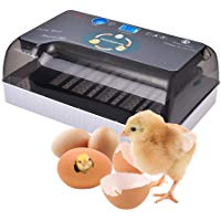 Jannyshop Incubadora de Huevos Ajustable Separaci&oacute;n Incubadora Digital Incubadora Autom&aacute;tica para Huevos