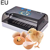 Mignon84Cook Incubadora de incubadora autom&aacute;tica Digital Uso en el hogar Huevo de Pato, Huevo, Huevo y Pavo