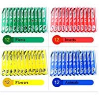 Jiusion 48Pcs Microscopio Preparado Diapositivas Espec&iacute;menes Animales Insectos Plantas Flores Muestra Esp&eacute;cimen Biol&oacute;gico, Microscopio Est&eacute;reo Diapositiva para Ni&ntilde;os Ni&ntilde;os Estudiantes Ilumina Educaci&oacute;
