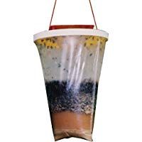 masso M118063 - Trampa cazainsectos ecologica moscas
