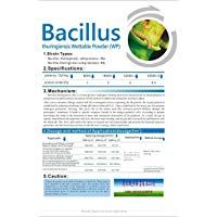 Insecticida de gusanos Bacillus thuringiensis 32000&nbsp;UI/MG 25&nbsp;g, 2 bolsas, (50&nbsp;g)