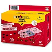 Ecogel 4026 - Trampa contra cucarachas, 15 g