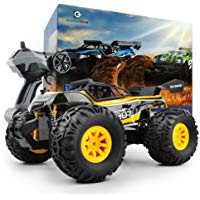 GizmoVine RC Car Cami&oacute;n de carreras de alta velocidad (RTR) con veh&iacute;culo de radio control de 2.4GHz, escala 1/18 (GT-ZC171802BYE)