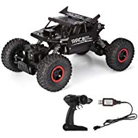 1:18 RC Coche 4WD Teledirigido Remote Control Alta Velocidad 2.4GHz 12km/h Buggy de Carreras Escala Racing Monster Truck Distancia Operaci&oacute;n unos 50M Recargable para Ni&ntilde;os M&aacute;s de 14 a&ntilde;os (Negro)