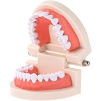 Anself Modelo dental para ense&ntilde;anza infantil de higiene oral