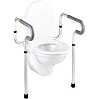 Wenko Asistente para Taza de WC, Aluminio, Plateado, 48x55.5x81.5 cm