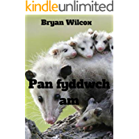 Pan fyddwch am (Welsh Edition)