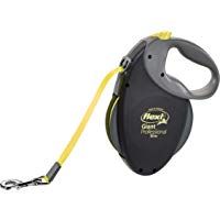 Mejores equipamiento-para-perros