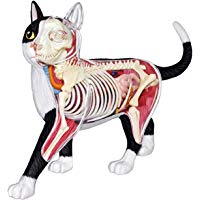 Mejores modelos-de-animales